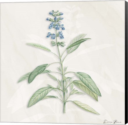 Framed Blue Botanical 1 Print