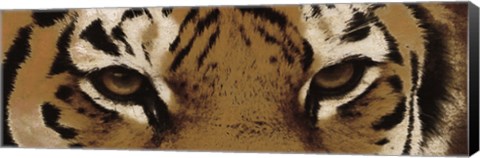 Framed Tiger Eyes Print