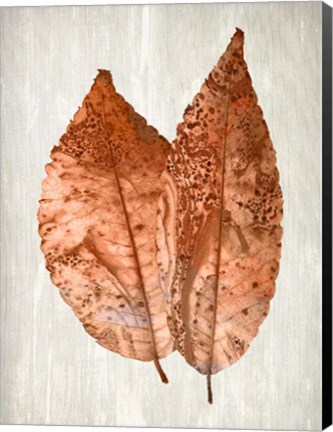 Framed Copper Leaves 2 Print