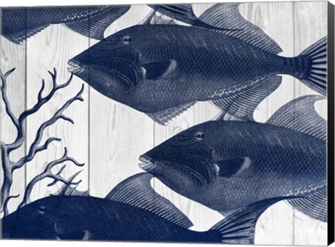 Framed Blue Fish Print