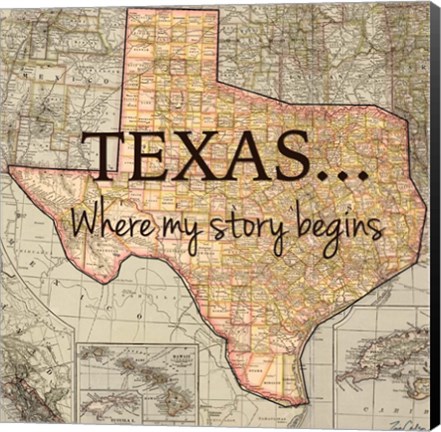 Framed Texas My Story Print