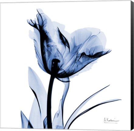 Framed Indigo Softened Tulip Print