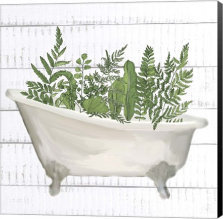 Framed Fern Bath 1 Print