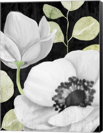 Framed Anemone On Black 2 Print