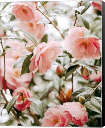 Framed Moody Pink FLorals Print