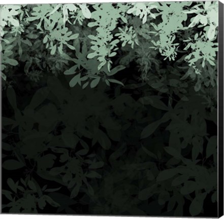 Framed Dark Tropical II Print