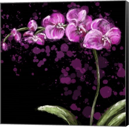 Framed Fuschia Orchid Print