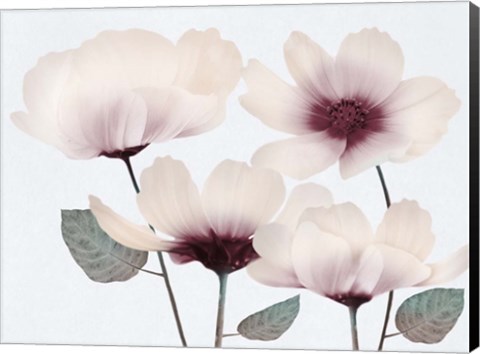Framed Blooming Youth 2 Print