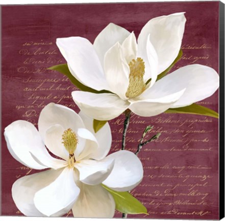 Framed Burgundy Magnolia II Print