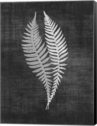 Framed Astor Fern 2 Print