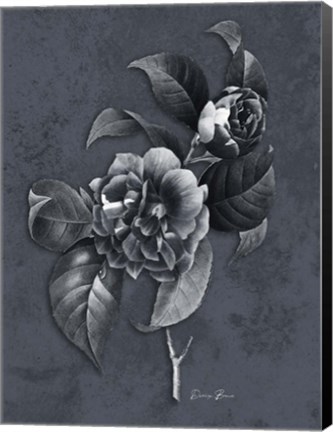 Framed Tranquil Botanical 2 Print