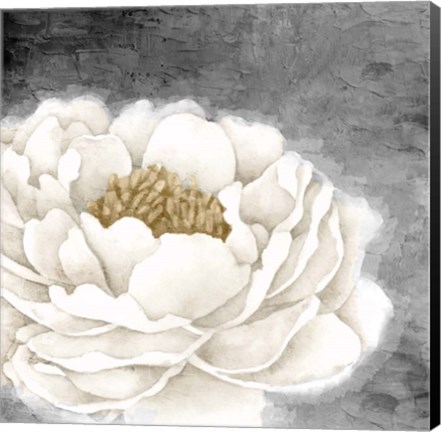 Framed White Peony Print
