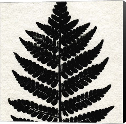 Framed Pressed Fern 2 Print