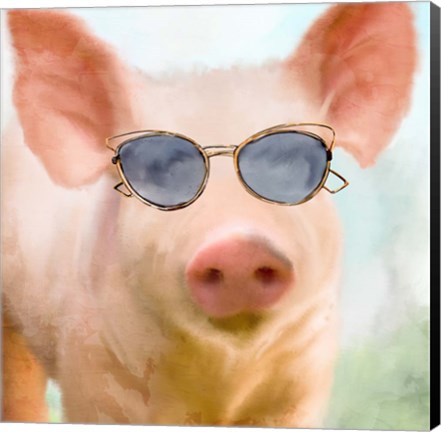 Framed Sun Glasses Pig Print