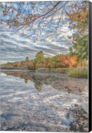 Framed Bayport Fall Print