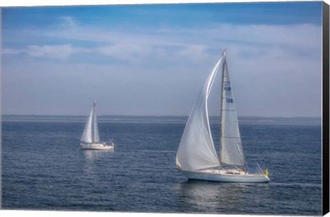 Framed Sail Boats Print