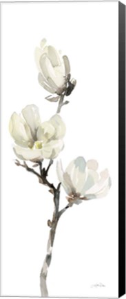 Framed White Magnolia I Panel Print