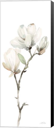 Framed White Magnolia II Panel Print