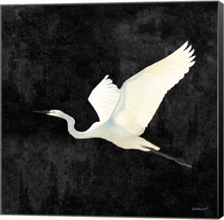 Framed Egret Alighting II Flipped Black Print