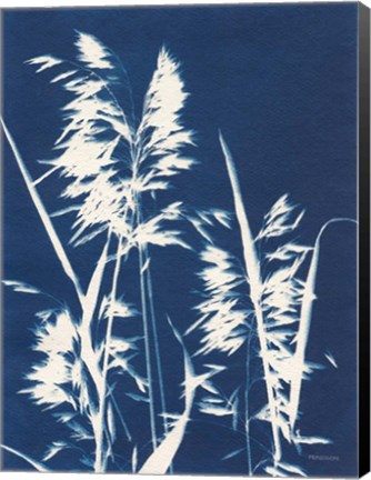 Framed Ornamental Grass VI Print