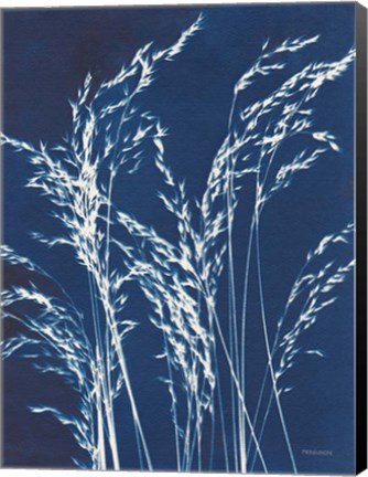 Framed Ornamental Grass V Print