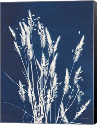 Framed Ornamental Grass III Print