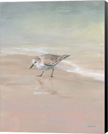 Framed Shorebirds on the Sand III Print