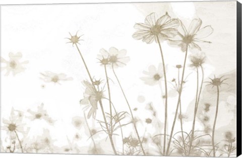 Framed Wildflowers Print