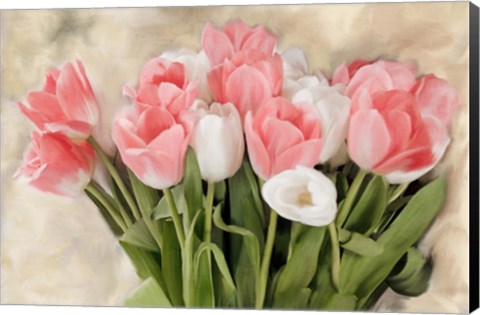 Framed Pink And White Tulips Print