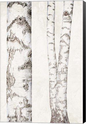 Framed Birches 2 Print