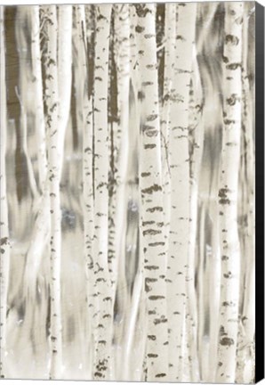 Framed Birches 3 Print