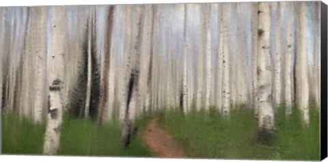 Framed Path through the Aspens Print