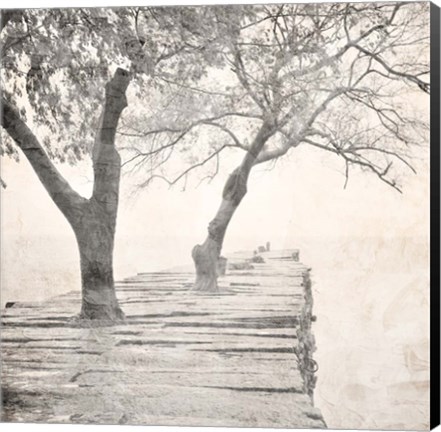 Framed Tree Pier Print