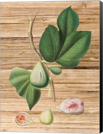 Framed Pressed Fruit 2 Print