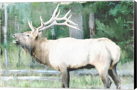 Framed Linen Pressed Elk Print