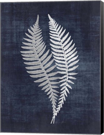 Framed Fern 2 Print