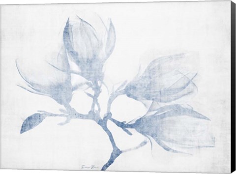 Framed Floral Study Print
