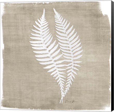 Framed Natures Fern 2 Print