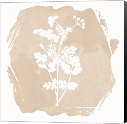 Framed Sweet Sophisticate Floral 2 Print