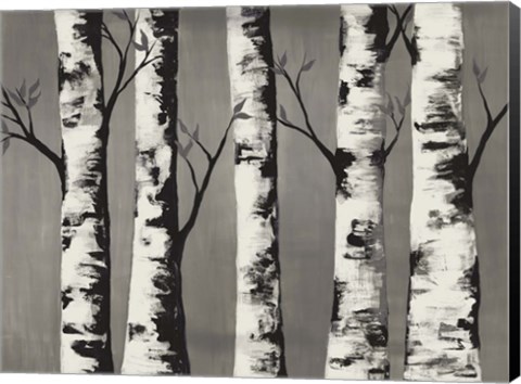 Framed Birch Backwoods Print