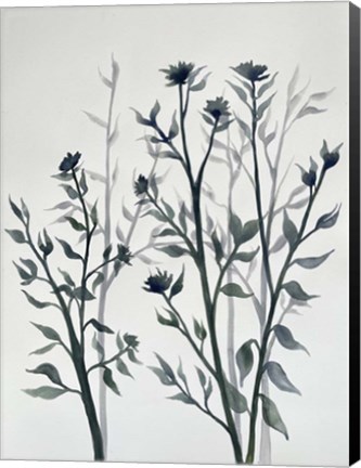 Framed Botanical Inspiration 2 Print