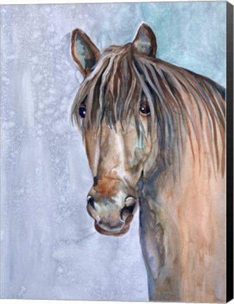 Framed Gentle Stallion 2 Print