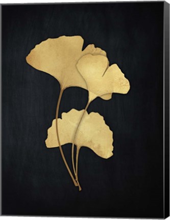 Framed Midas Ginkgo 2 Print