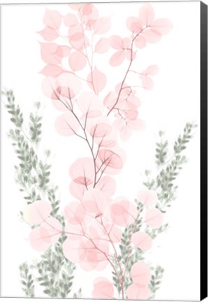 Framed Blushing Bouquet 1 Print