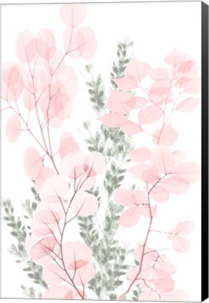 Framed Blushing Bouquet 2 Print