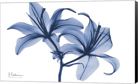 Framed Indigo Infused Lily 2 Print