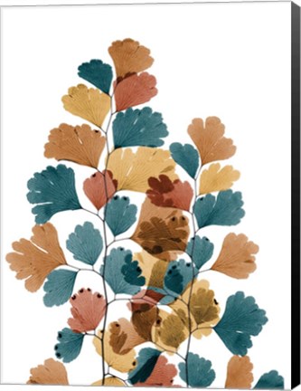 Framed Southern Urban Maidenhair Fern Print