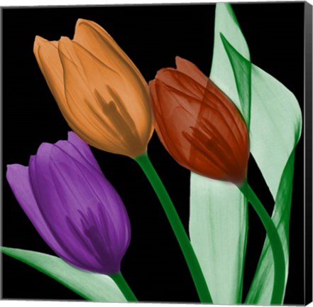 Framed Jeweled Tulips 4 Print