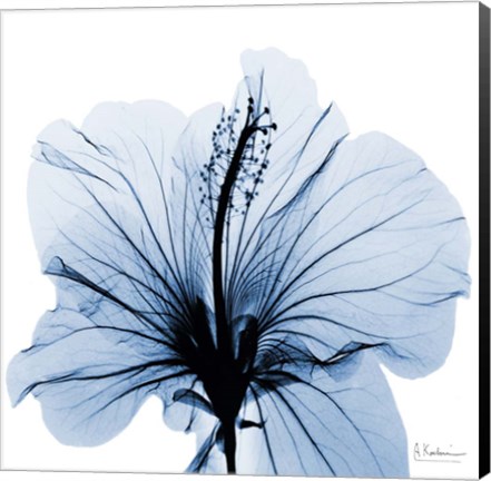 Framed Indigo Hibiscus Print