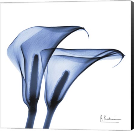 Framed Indigo Infused Calla Lilies Print